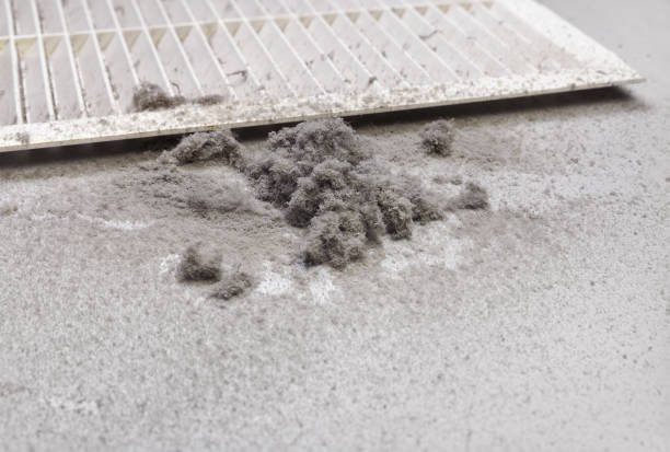 Best Affordable Air Duct Cleaning  in Mccall, ID