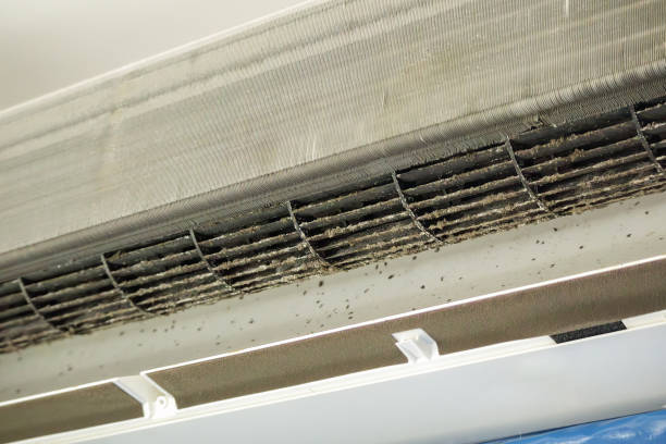 Best HVAC Air Duct Cleaning  in Mccall, ID